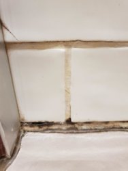 SHOWER3.jpg