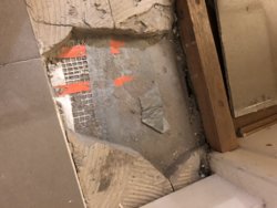 FC4E56D9-ED28-4297-BDB8-AB61C01FF092.jpeg