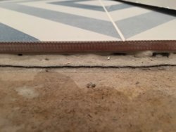 1C84EC33-E5AA-4859-9AE7-22DA5F275EDC.jpeg