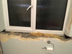 IMG_1121.JPG IMG_1121.JPG