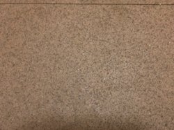 IMG_0067.jpg