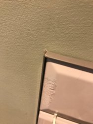 IMG_1354.jpg