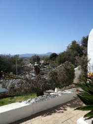 20190317_133031.jpg