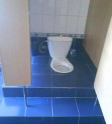 bog.jpg