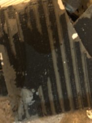 6232709A-3274-4C23-8F9C-59F535A4E6F4.jpeg