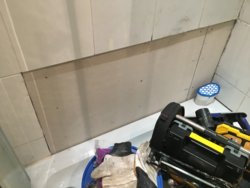 IMG_3728.JPG IMG_3728.JPG