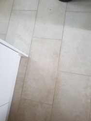 20190515_105955.jpg