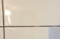20190703_202121.jpg 20190703_202121.jpg