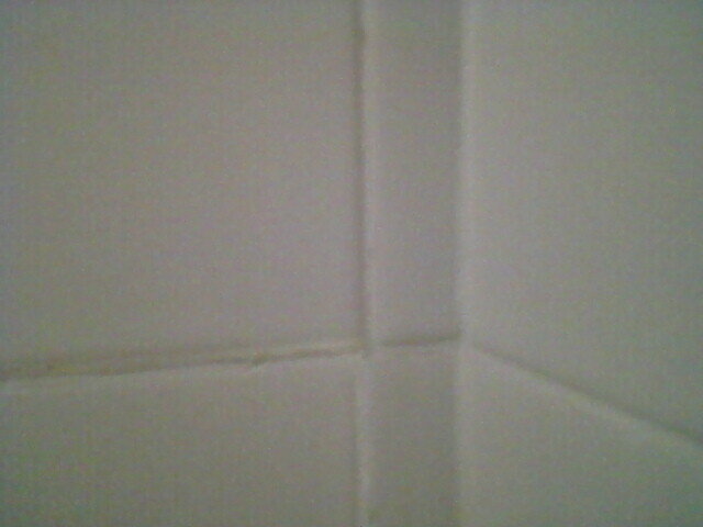 Photo-0006.jpg
