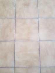 20190819_110913.jpg