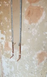 20190826_210344.jpg
