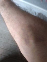 IMG_20191030_115237185.jpg