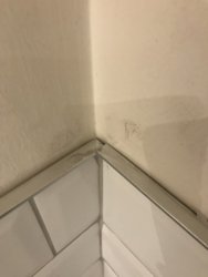 14930301-74A3-4CE4-AEFC-462EAB0241A1.jpeg
