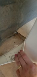 20191102_070834.jpg 20191102_070834.jpg