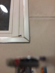 320C7338-F2AF-4F9C-9C4F-924D9E31FF7B.jpeg