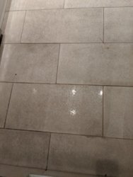 IMG_20191124_175532.jpg