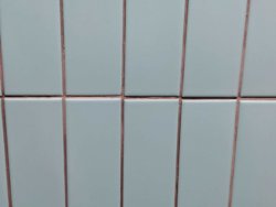 IMG-20191124-WA0004.jpg