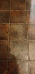Tile 2.jpg