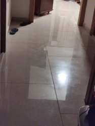 IMG_20191218_015726.jpg