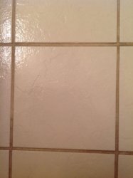 FACC17F9-D429-49AE-9C7C-4E608240ECFE.jpeg