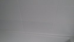IMG_20200209_115547.jpg