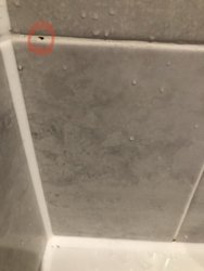 5C9F5348-06D8-4C30-9D98-1577BD22F129.jpeg