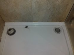 IMG-20200318-WA0000.jpeg