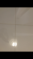 85A9F77F-BF64-4740-9C86-E1E4C6889484.png