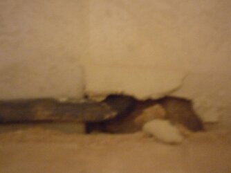top of cabinet.jpg