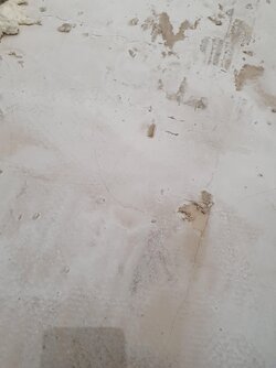 20210125_193333.jpg