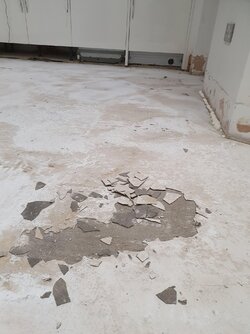 20210126_200159.jpg