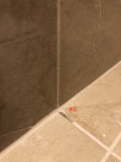 IMG_4803.JPG
