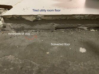 IMG_0749.jpeg