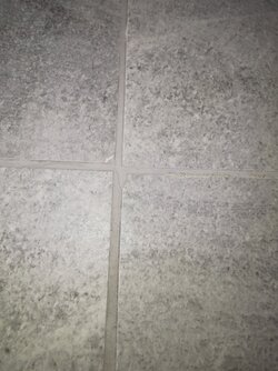 IMG_20210218_125148.jpg