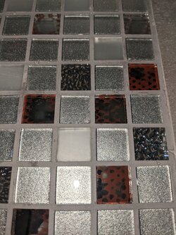 PXL_20210226_173655745.jpg