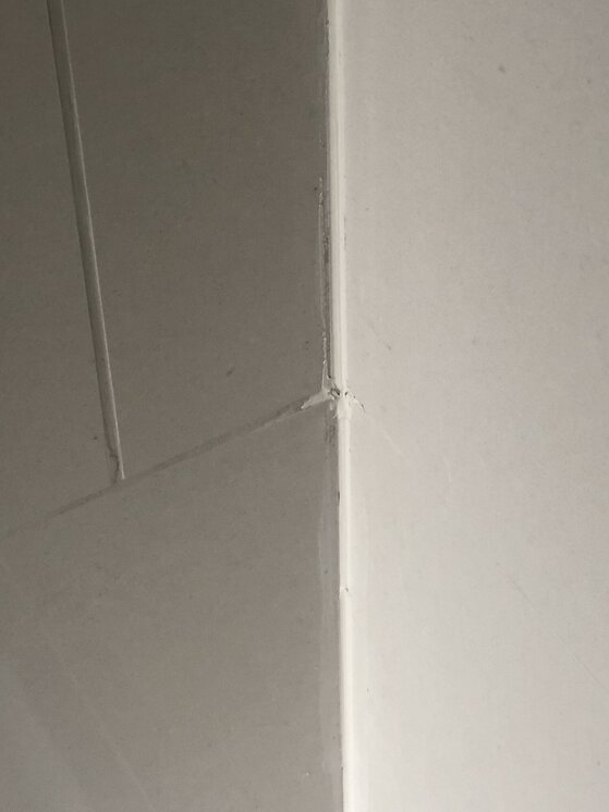 Is this tile trim a professional standard | TilersForums.com Filename: {userid}