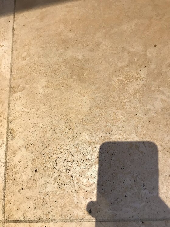 Blacks spots.jpeg