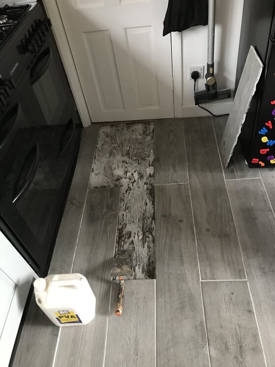 Porcelain tiled kitchen floor - cracking after 2 days | TilersForums.com Filename: {userid}