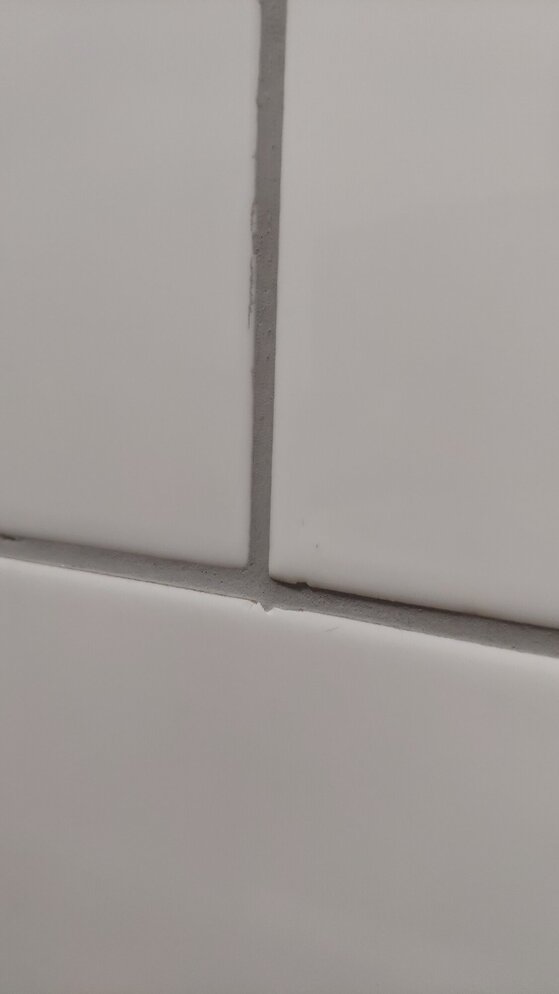 1648078904360.jpg
