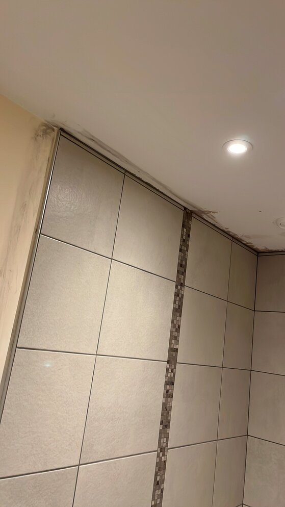 IMG_0182.jpeg