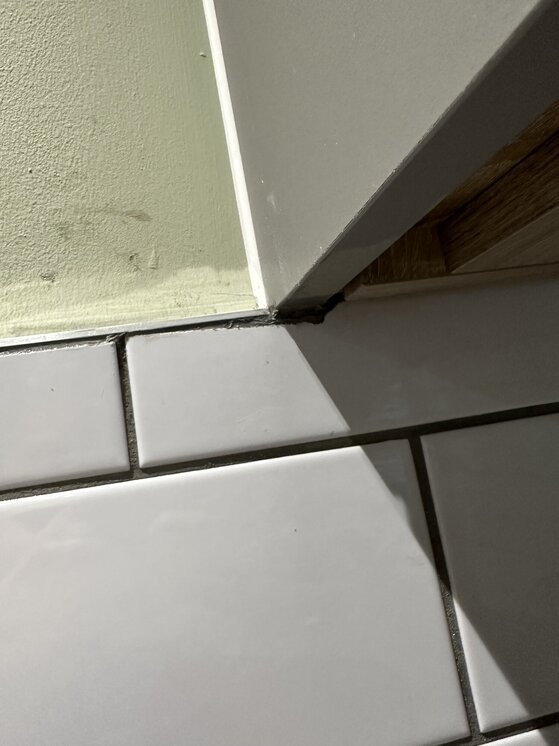 Advice for neating up tile edges left by professional tiler. | TilersForums.com Filename: {userid}