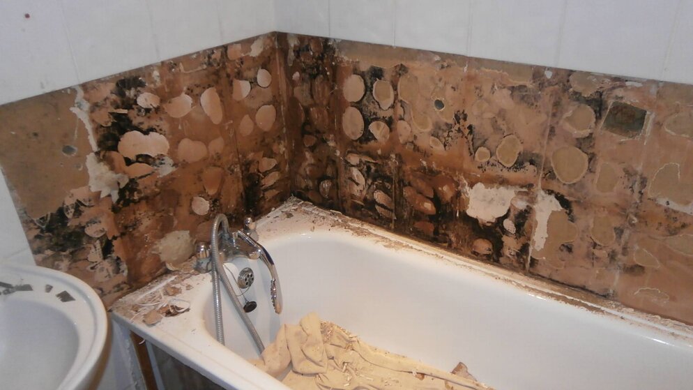 Dampness Black Mold l.jpg