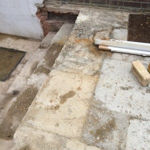 Limestone Garden Chelsea