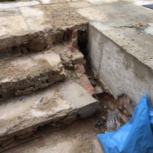 Limestone Garden Chelsea