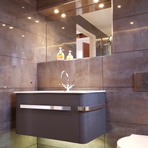 porcelanosa Bathroom Renewal