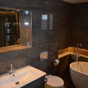 porcelanosa Bathroom Renewal