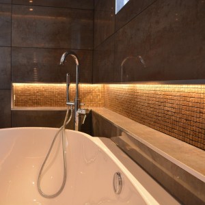 porcelanosa Bathroom Renewal