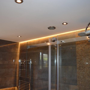 porcelanosa Bathroom Renewal