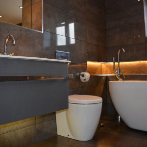 porcelanosa Bathroom Renewal