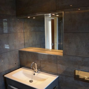 porcelanosa Bathroom Renewal